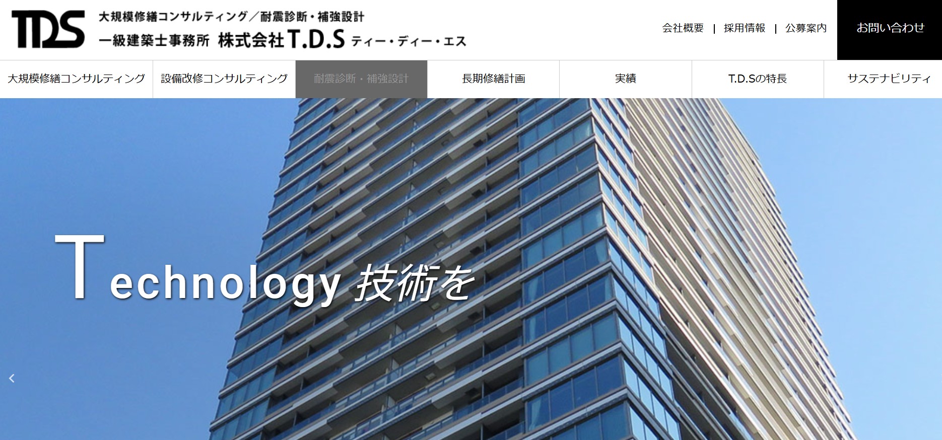 tds website screenshot